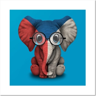 Baby Elephant with Glasses and Czech Flag Posters and Art